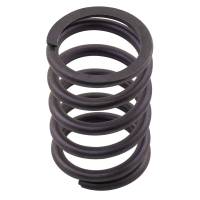 TM27I309-RP - Valve Spring