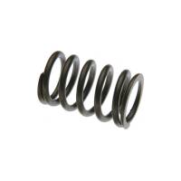 461248-RP - Valve Spring