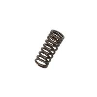 8N6513-RP - Valve Spring