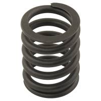 D1FZ6513D-RP - Valve Spring