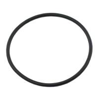 E1ADKN6061A-RP - Liner Sealing Ring