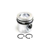 3802100-RP - Piston & Rings