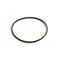 3907177-RP - Liner Sealing Ring