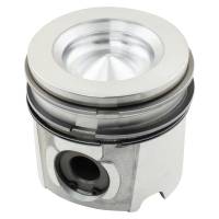 4955365-RP - Piston & Rings