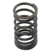 31744131-RP - Valve Spring