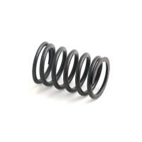 31744133-RP - Valve Spring