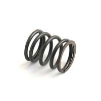 31745122-RP - Valve Spring