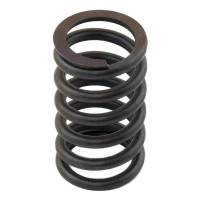 3174P405-RP - Valve Spring