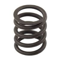 3174P412-RP - Valve Spring