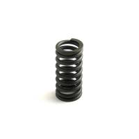 R35157-FP - Valve Spring