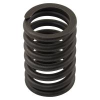 402091313-RP - Valve Spring