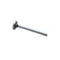 R43789-RP - Exhaust Valve