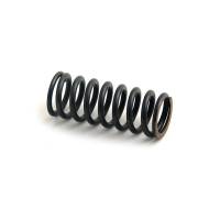 106573A-RP - Valve Spring