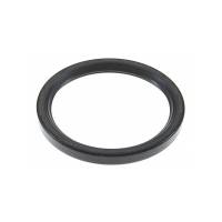 208458-RP - Rear Crank Seal