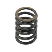 198216700-RP - Valve Spring