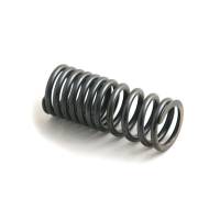 AF55-RP - Valve Spring